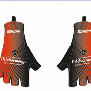 Santini vh classic long summer gloves