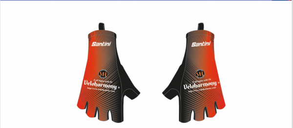 Santini vh classic long summer gloves