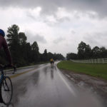 Mudguardstotherescue