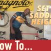 saddle height road bike