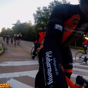 Veloharmony Santini Leg & Arm Warmers Bundle